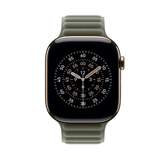Apple Watch 46mm Magnetic Link: Sage Gray Magnetic Link - M/L