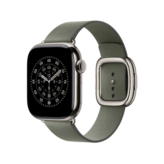 Apple Watch 42mm Modern Buckle: Sage Gray Modern Buckle - Small