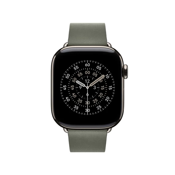 Apple Watch 42mm Modern Buckle: Sage Gray Modern Buckle - Large