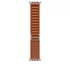 Apple Watch 49mm Loop:  Terra Cotta Alpine Loop - Small - Natural Titanium Finish