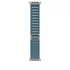 Apple Watch 49mm Loop:  Light Blue Alpine Loop - Medium - Natural Titanium Finish