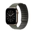 Apple Watch 46mm Magnetic Link: Sage Gray Magnetic Link - S/M