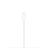 Apple MagSafe Charger (2 m)