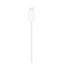 Apple Watch Magnetic Fast Charger to USB-C Cable (1 m)