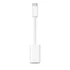 Apple USB-C to Lightning Adapter