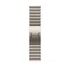 Apple Watch 46mm Link Bracelet:  Natural Link Bracelet